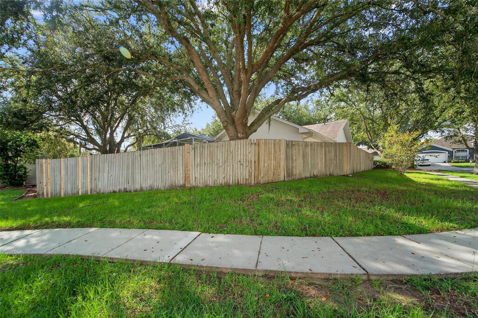 Huge Corner Lot