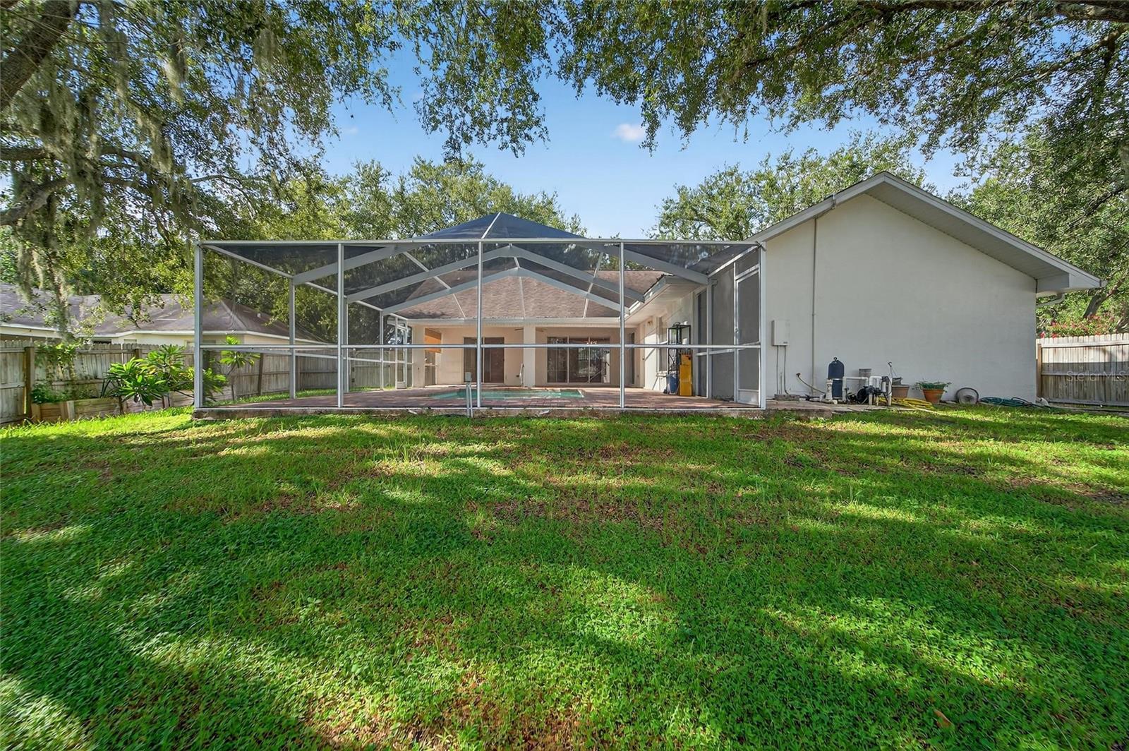 Huge Tree Covered Back Yard