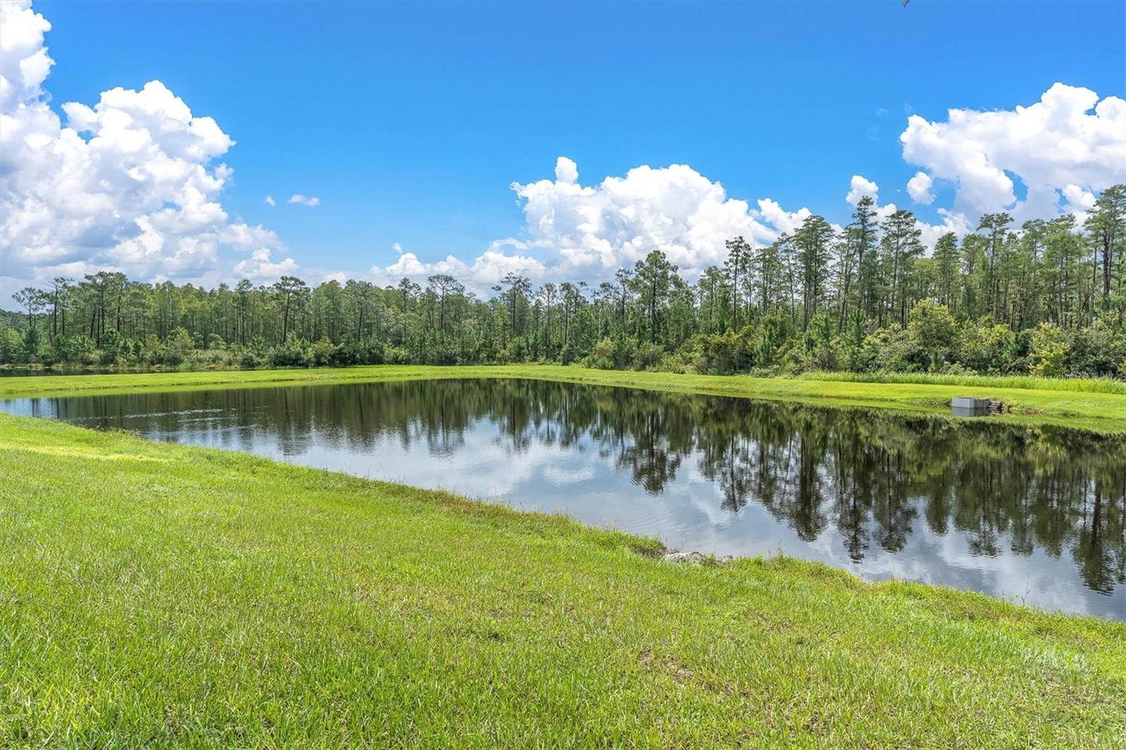 BEAUTIFUL POND AND CONSERVATION VIEW