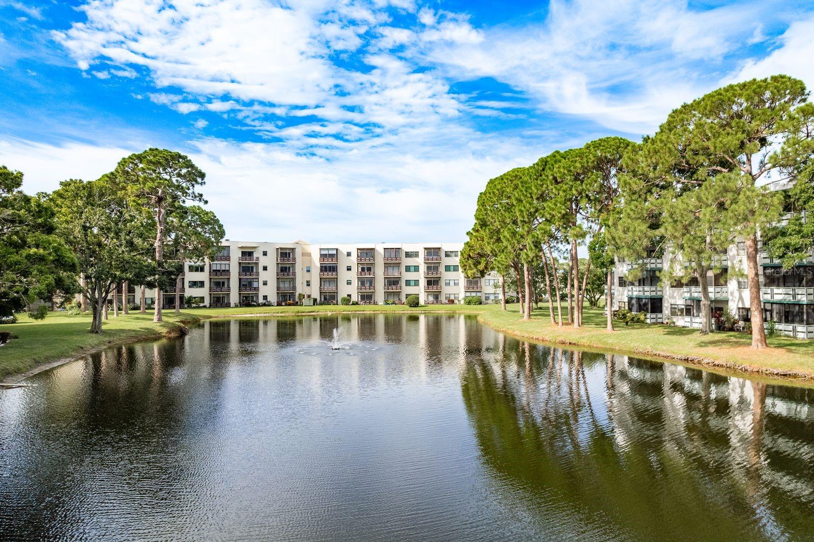 Pond View
