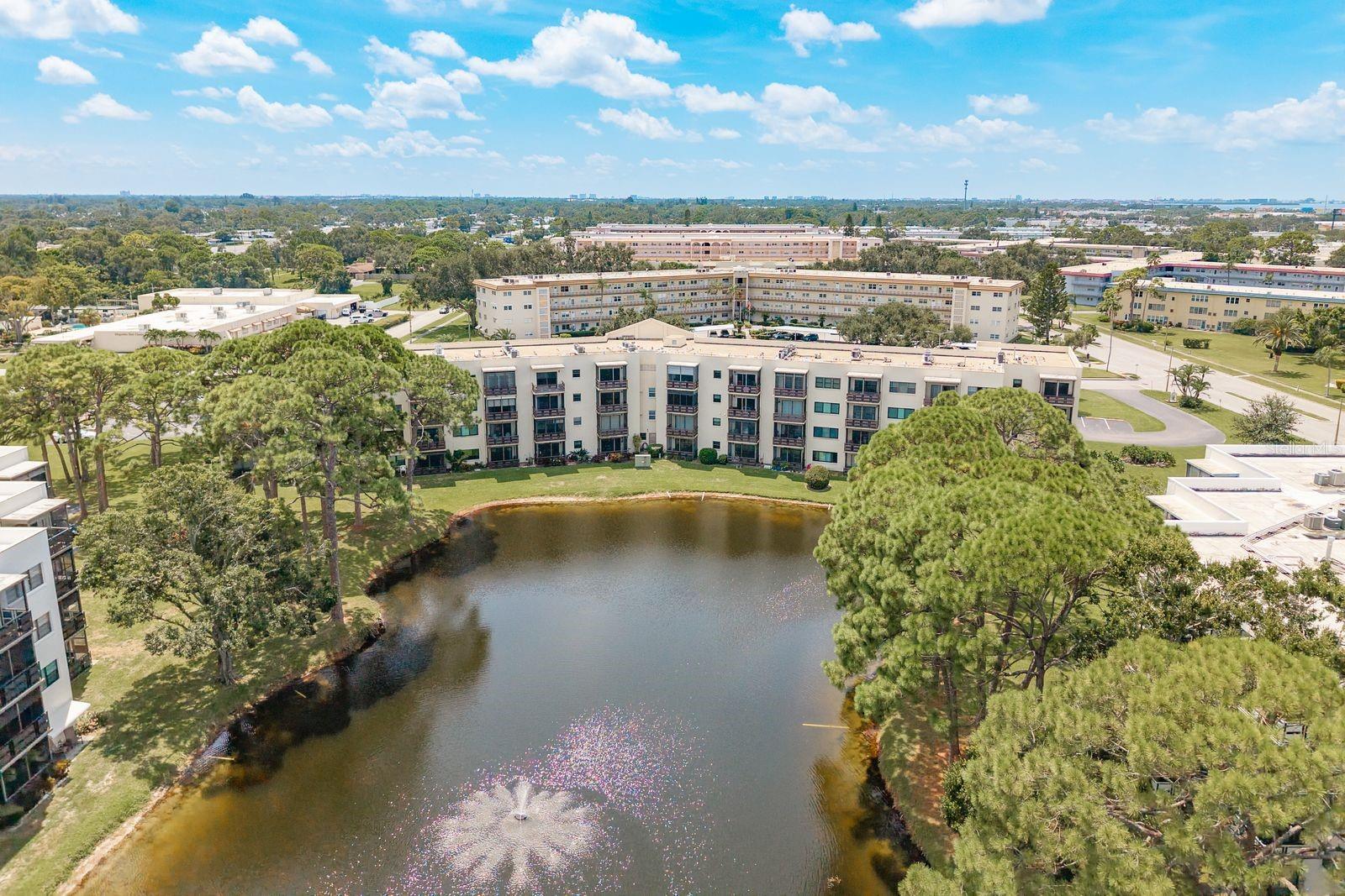 Pond View