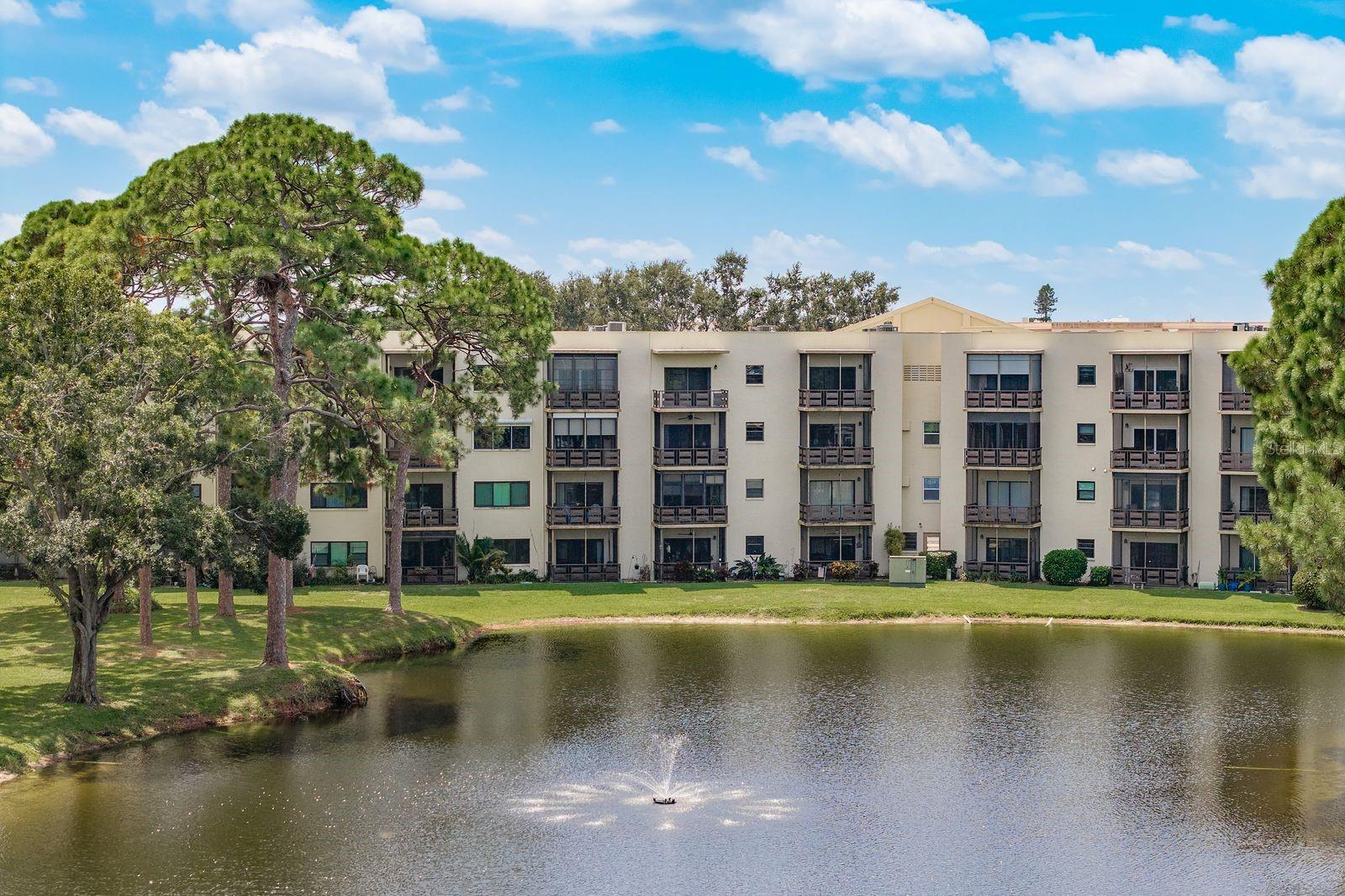 Pond view