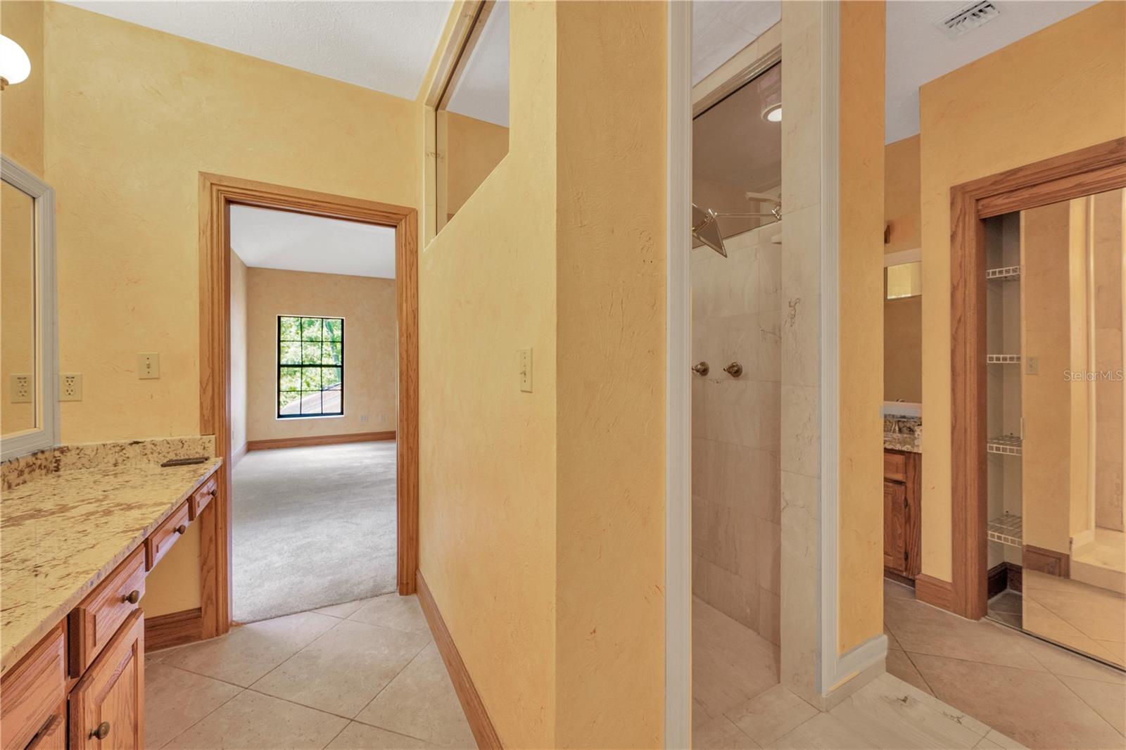 Each doorway into the Owner's suite has it's own vanity and sink with a central step in shower between the 2 vanities.