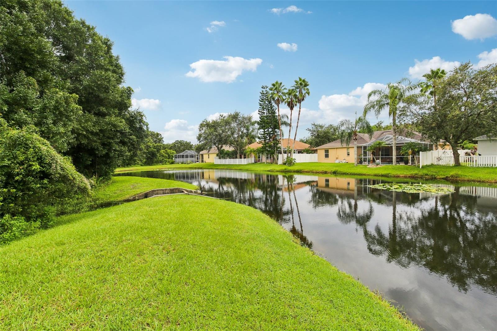 TRANQUIL POND VIEW
