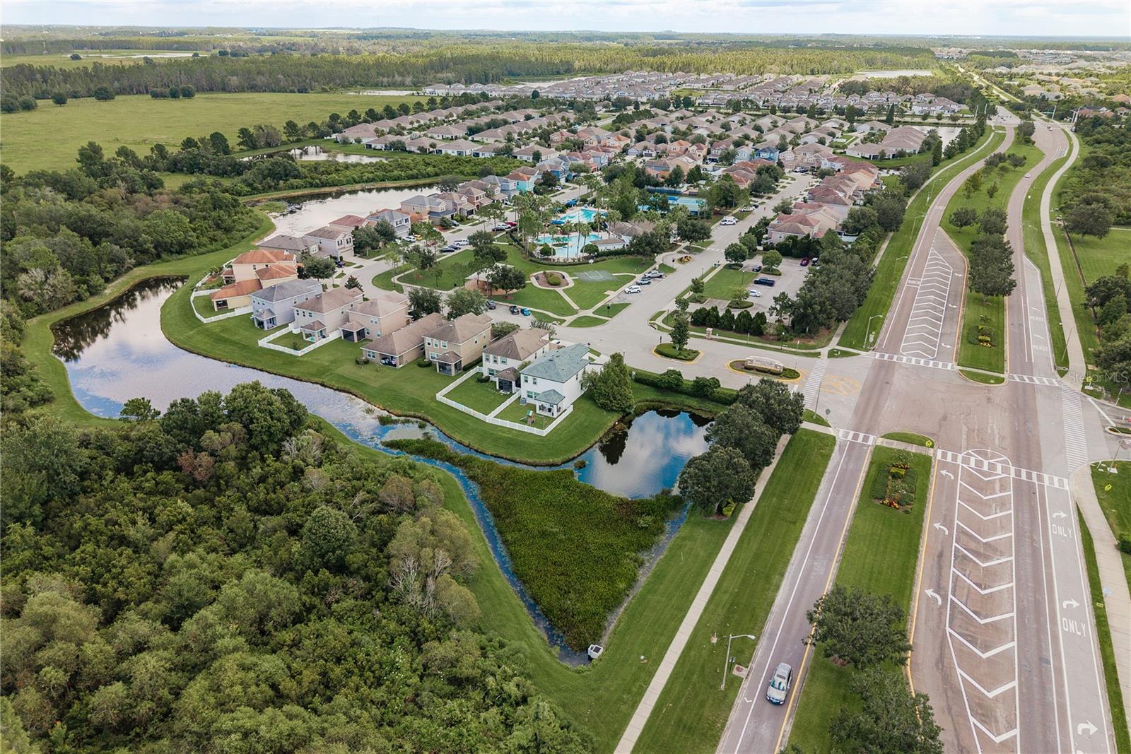 Aerial Watergrass Entry