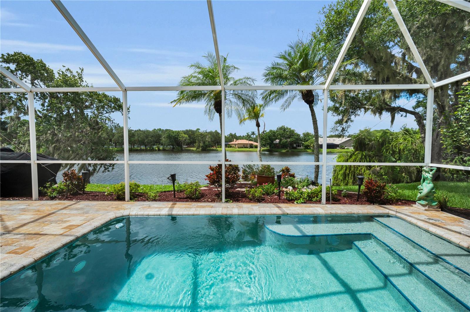 Pool with Lake View