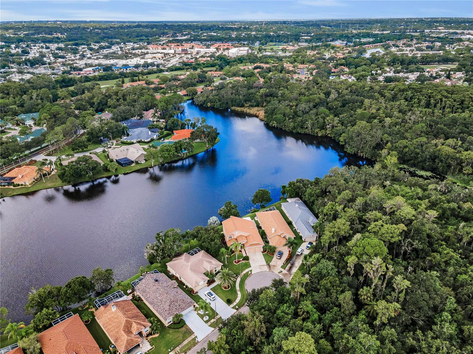Aerial view of community