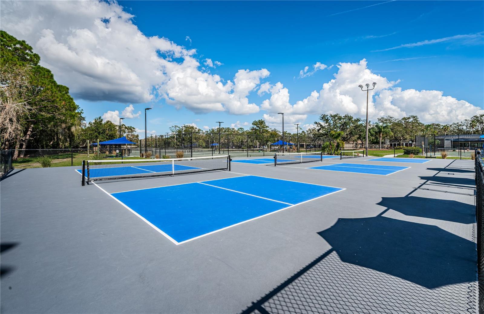Pickleball Courts at Ardea Country Club