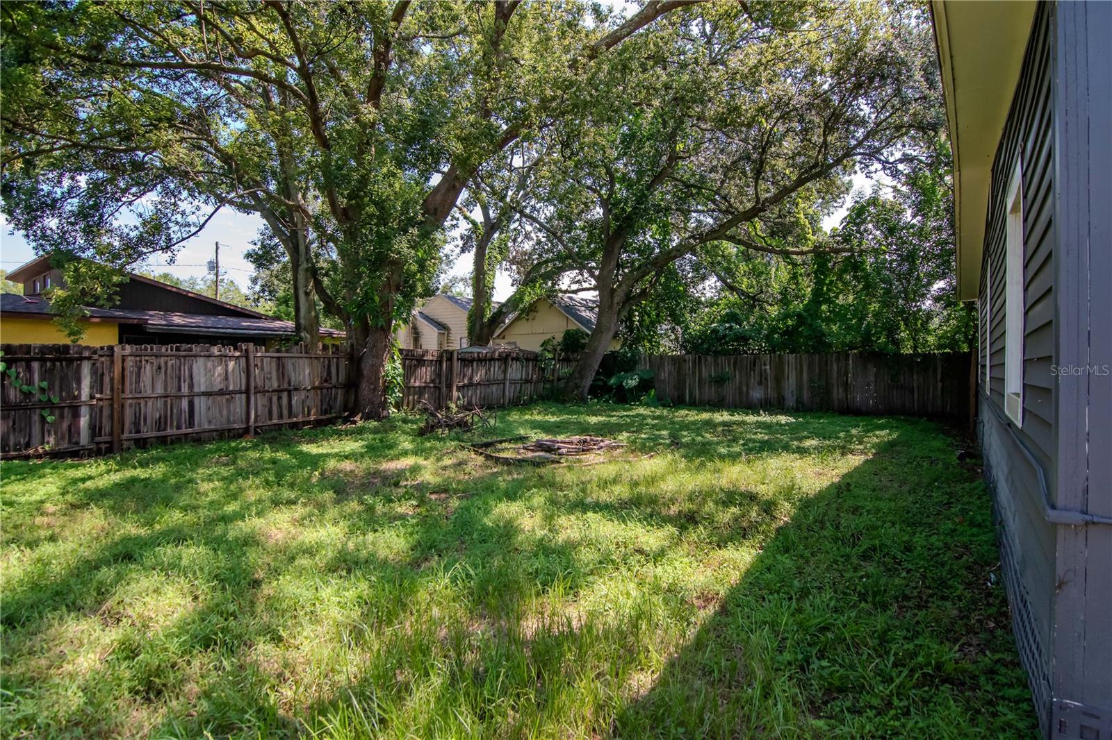 Great Backyard