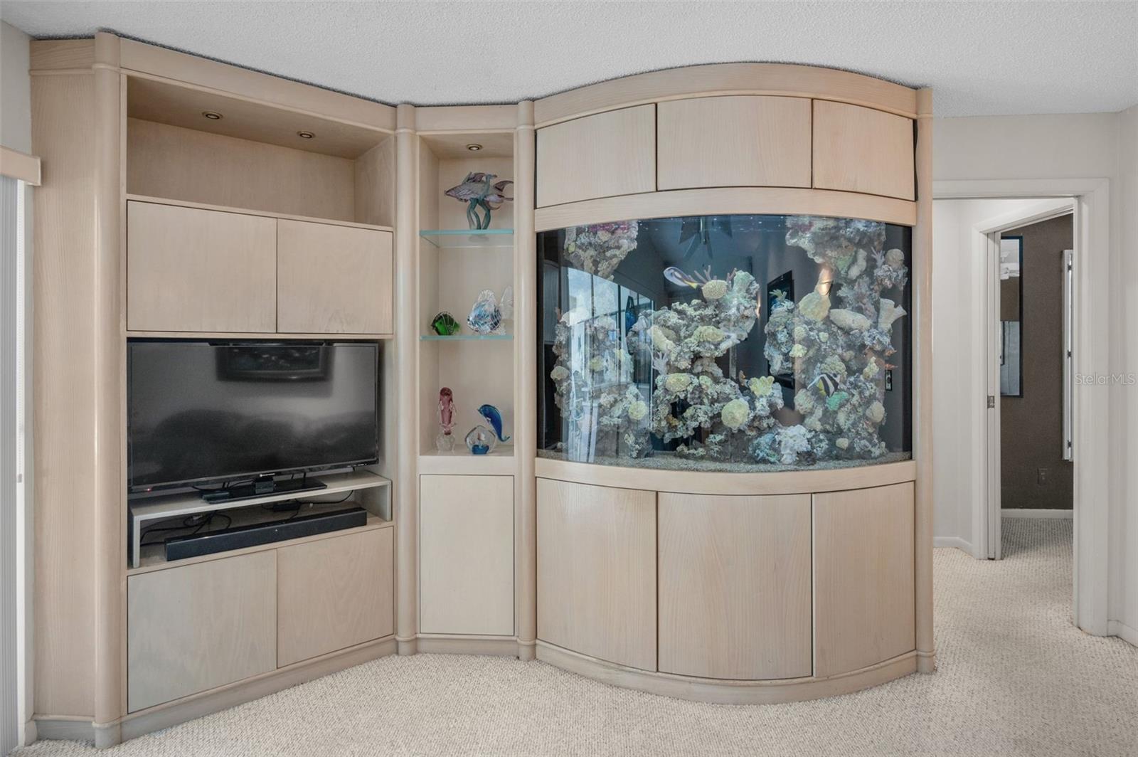 Fish Tank in Family Room