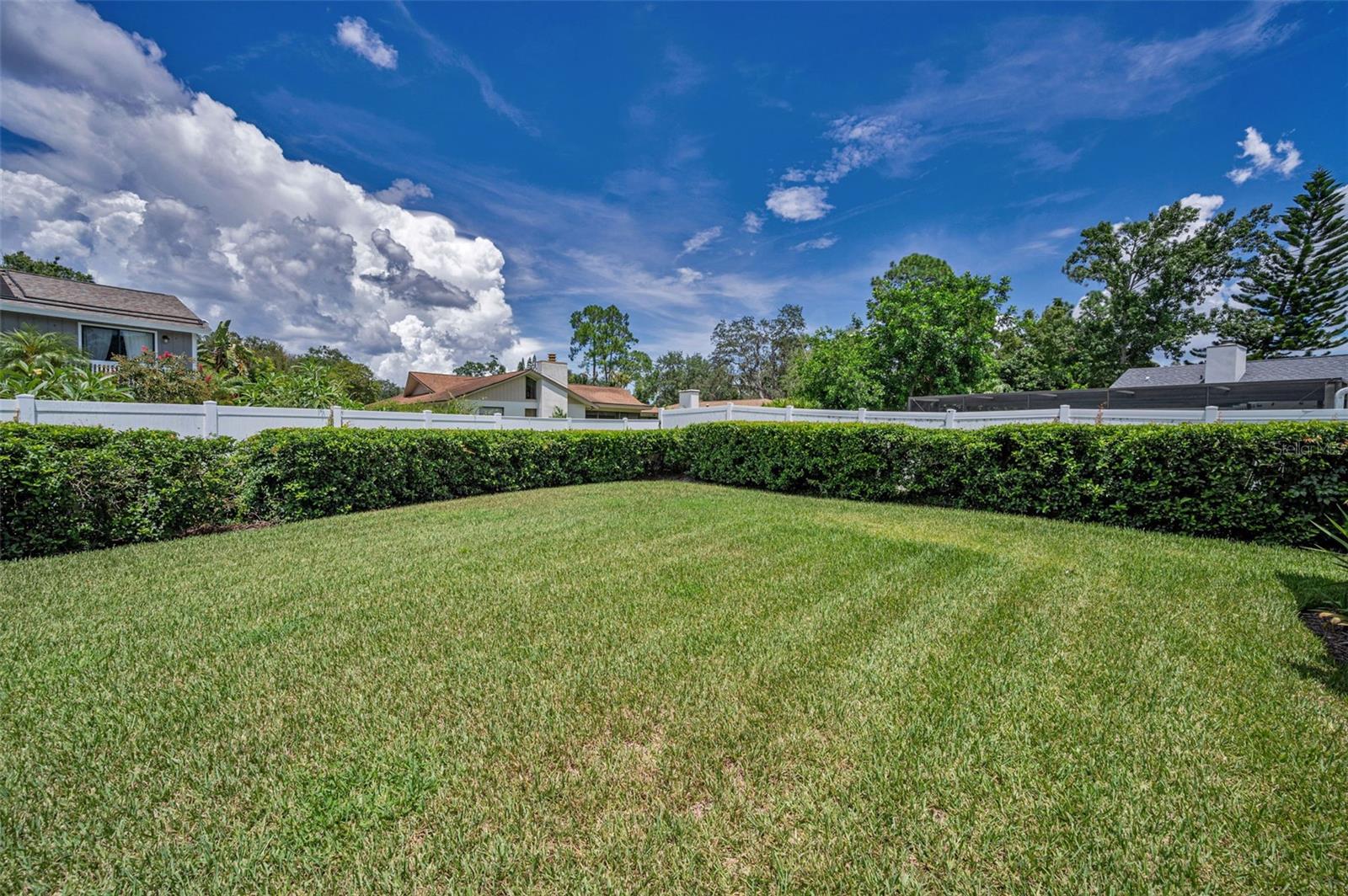 Fenced Back Yard