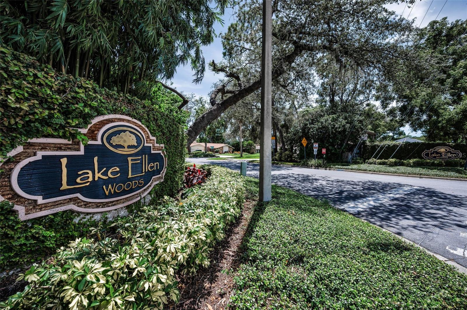 Lake Ellen Community