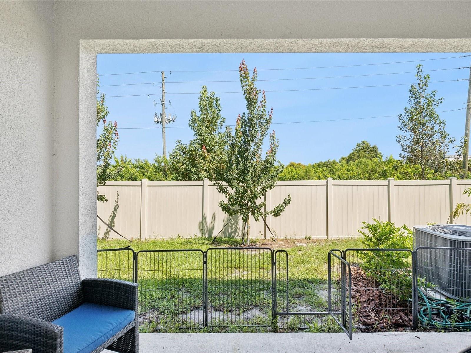 Covered back patio - Privacy back fence
