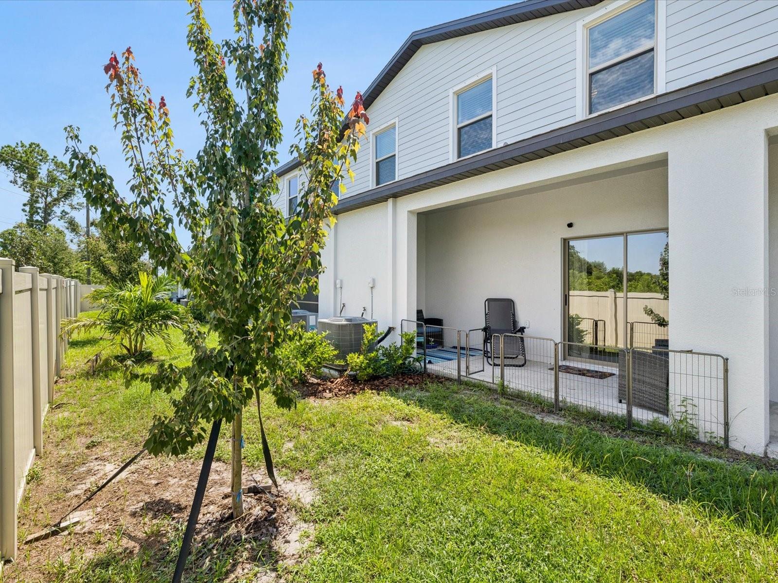 Back yard, covered patio