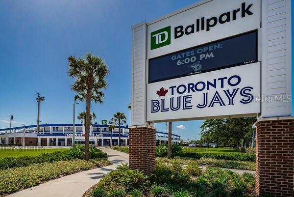 Minor League Baseball Park Toronto Blue Jays