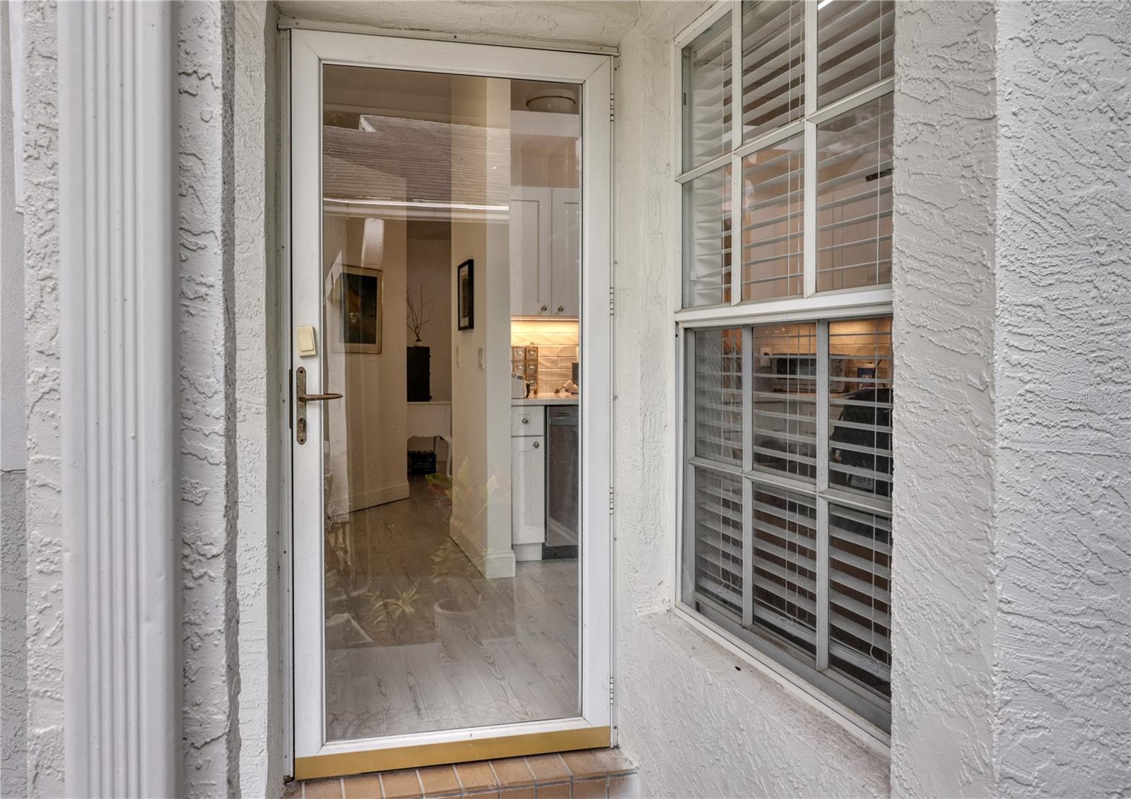 Storm Door