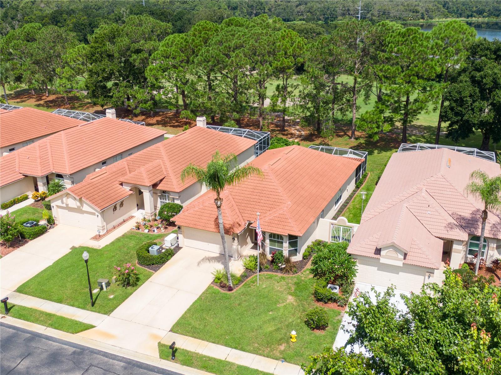 beautiful green trees behind your new home!