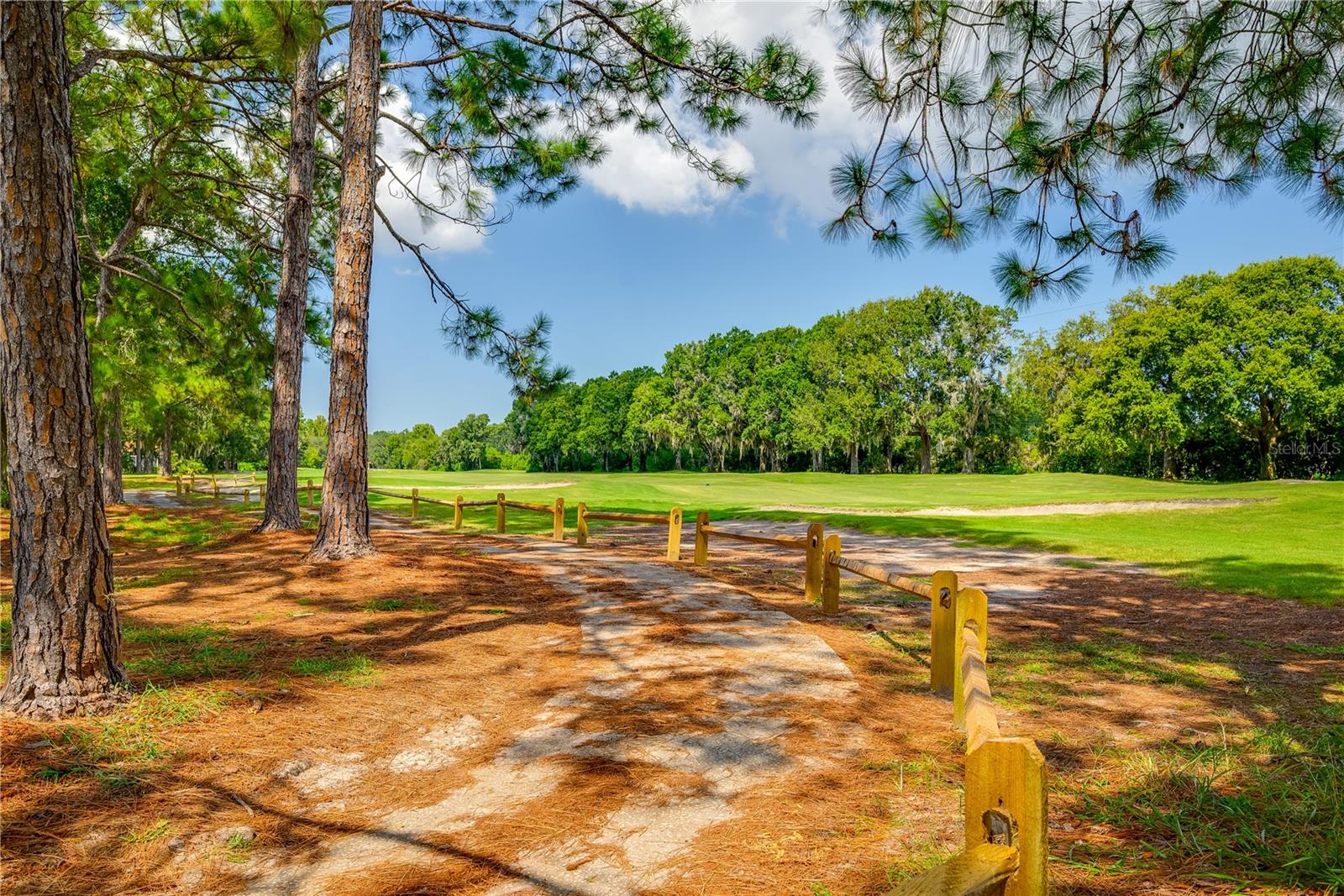 shaded walking space!