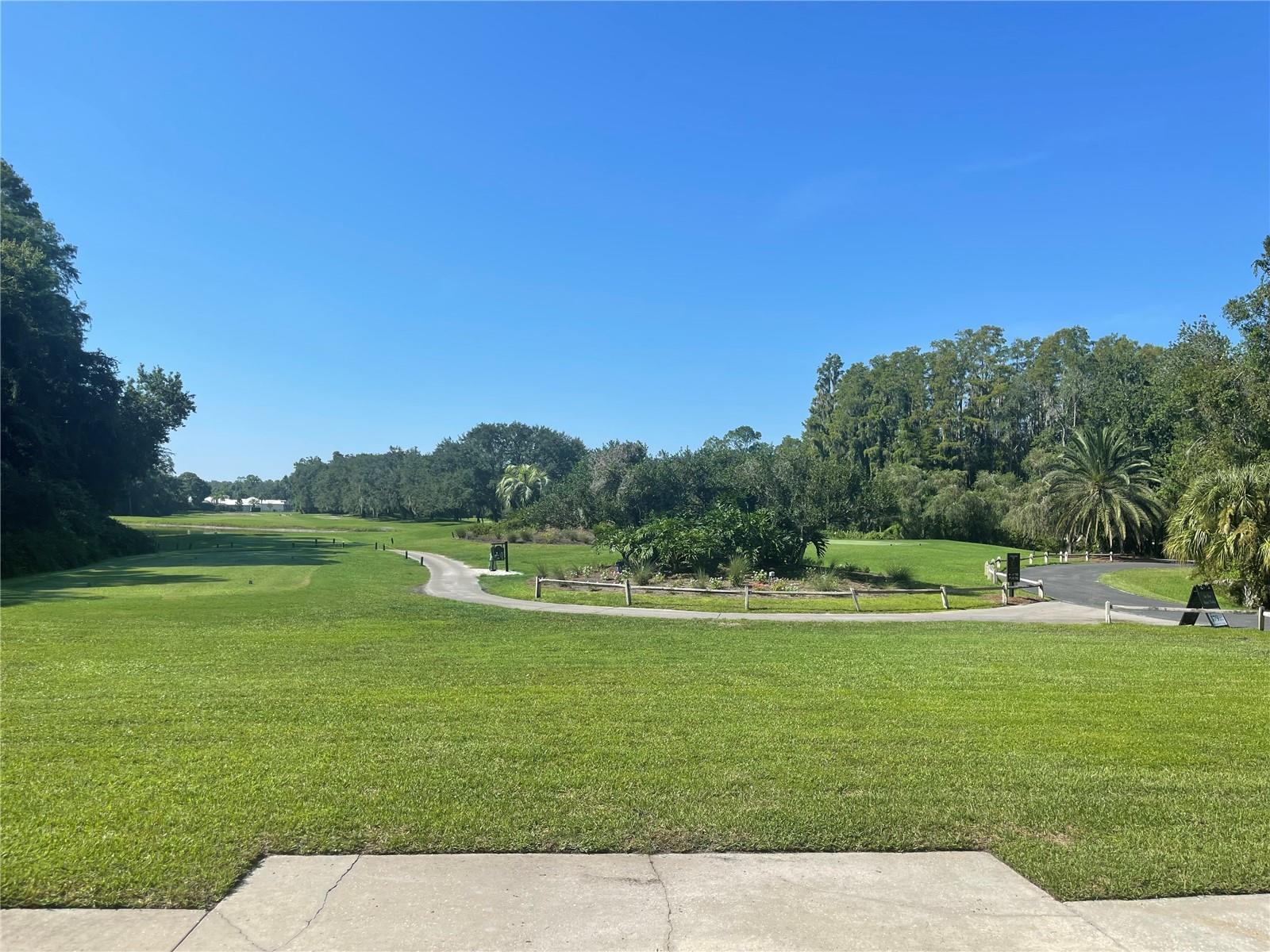 The fairway
