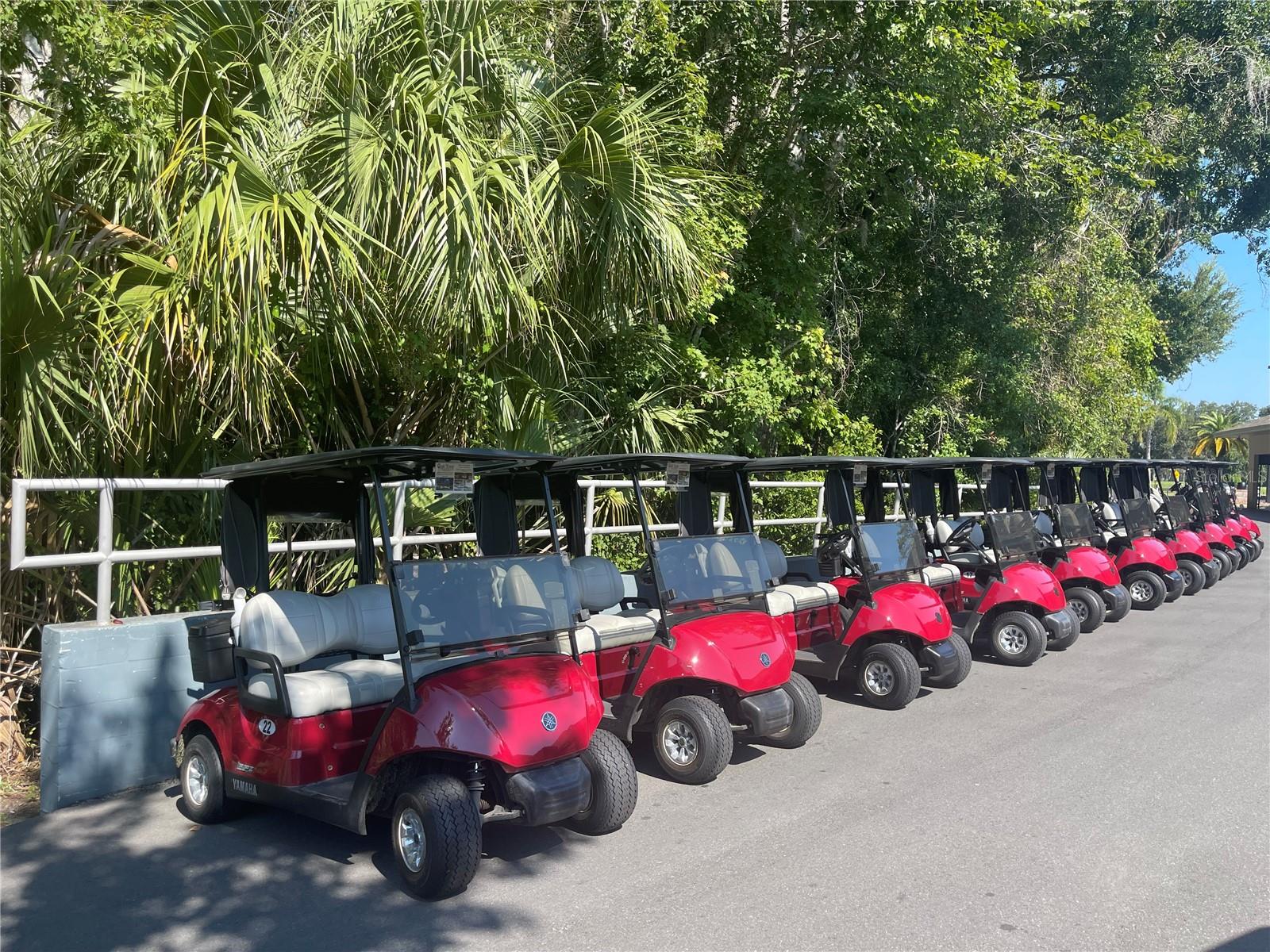Golf Carts ready for the avid golfer