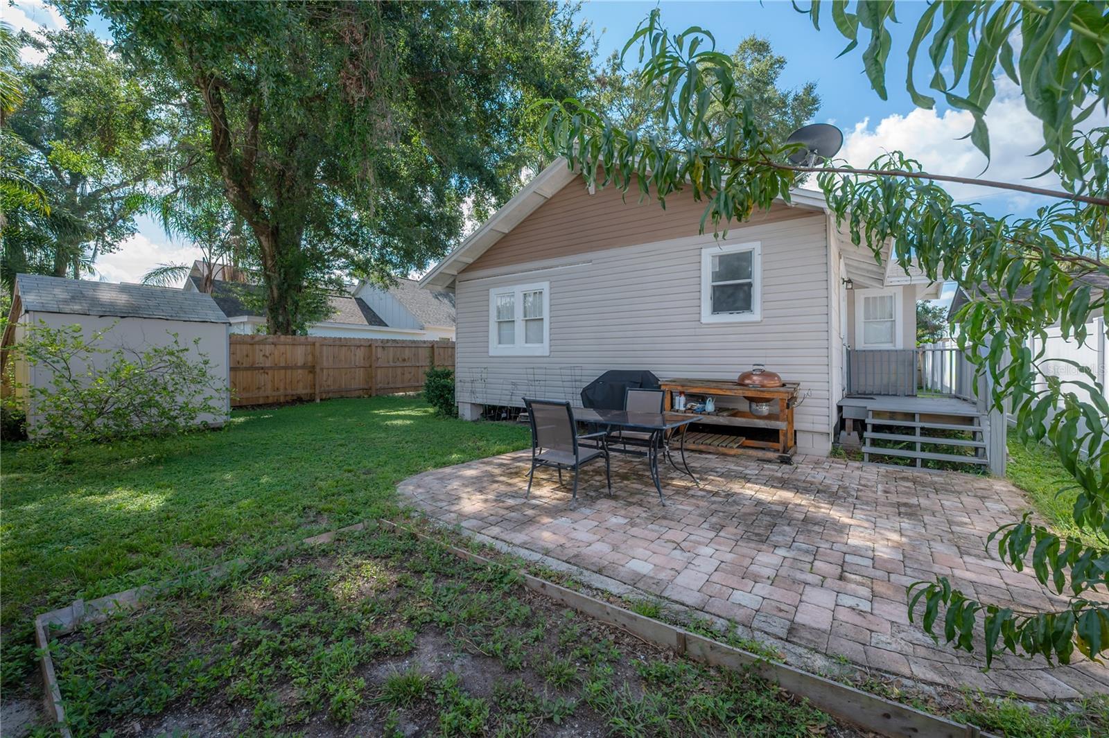 Back Yard