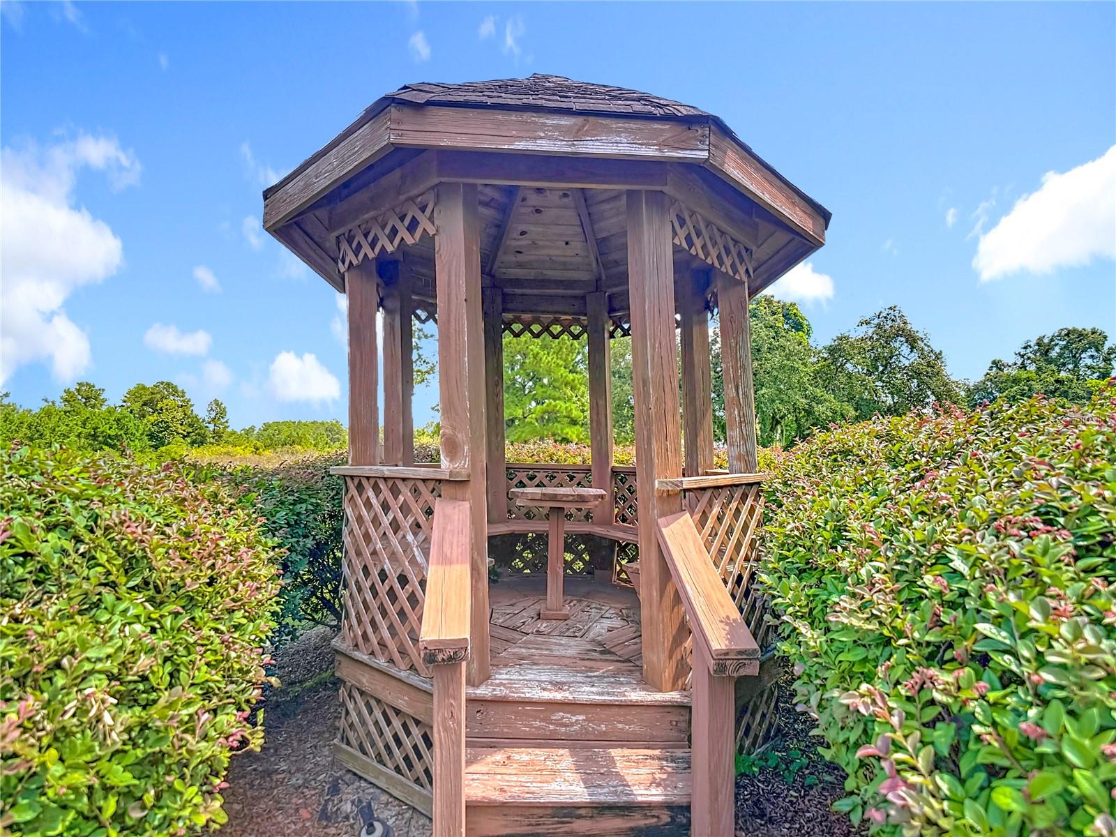 Gazebo in the back yard