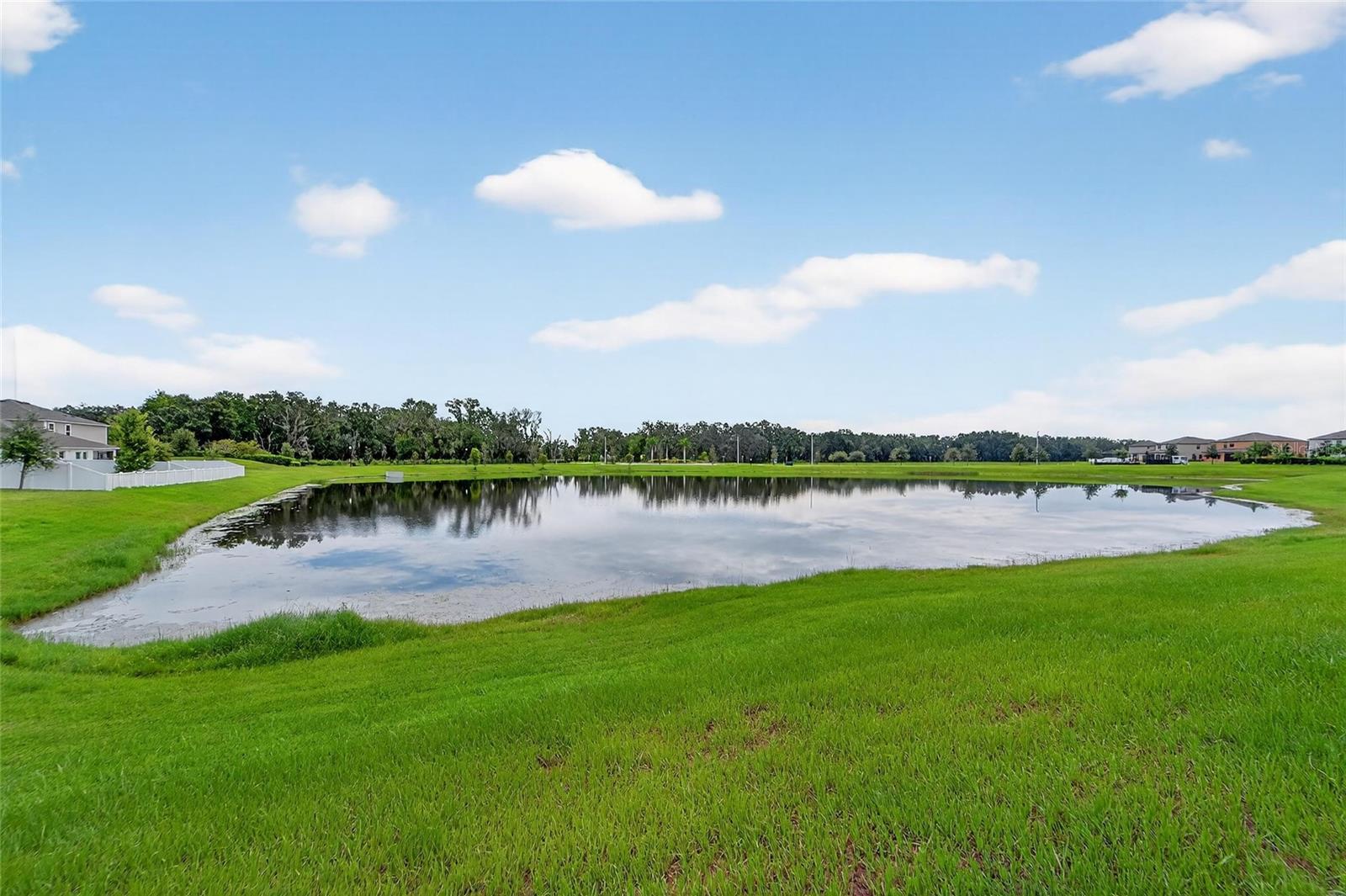 Stunning Pond Views and NO REAR NEIGHBORS