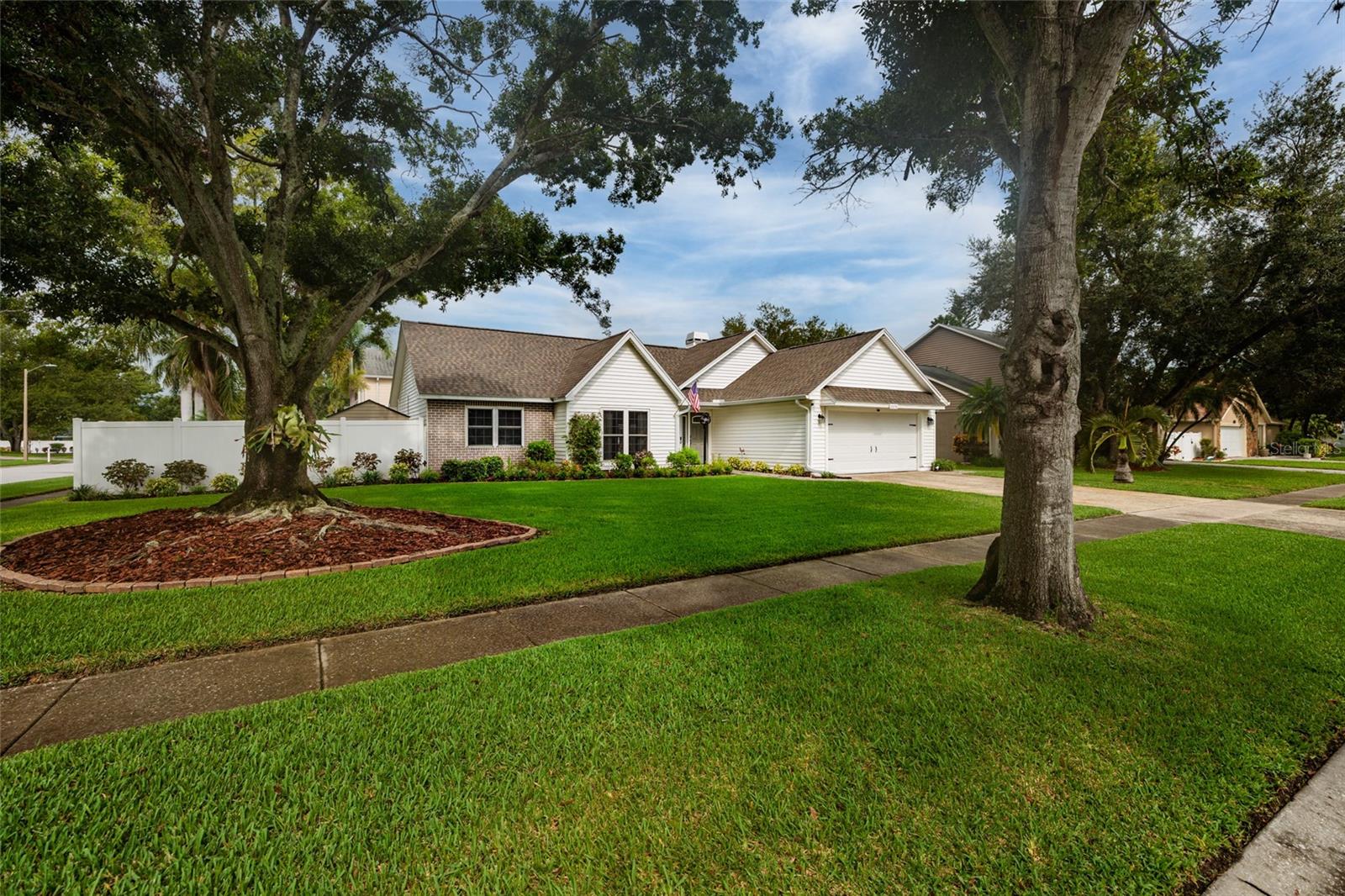 Huge CORNER lot