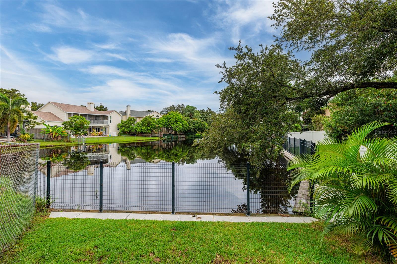 Pond View