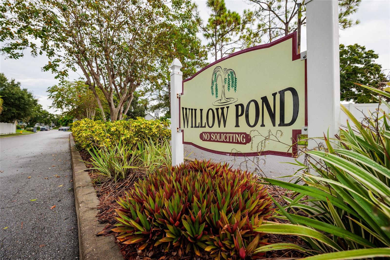 Willow Pond Community