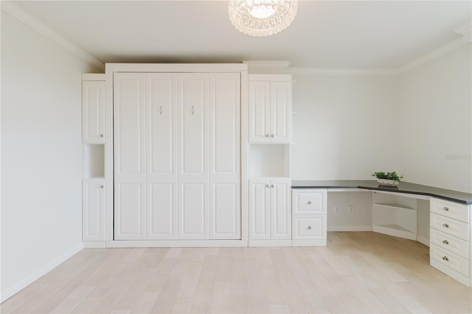 2nd Bedroom with Murphy Bed
