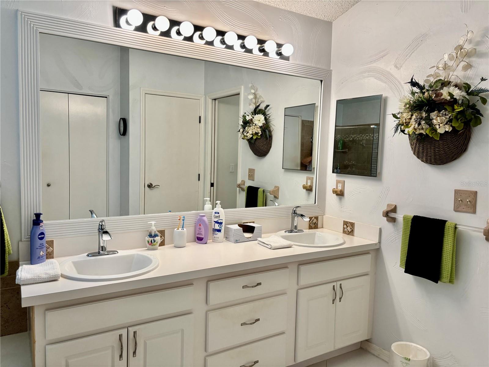 Master bathroom dual sinks