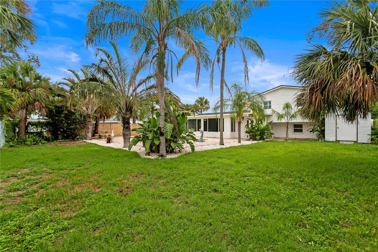 Backyard