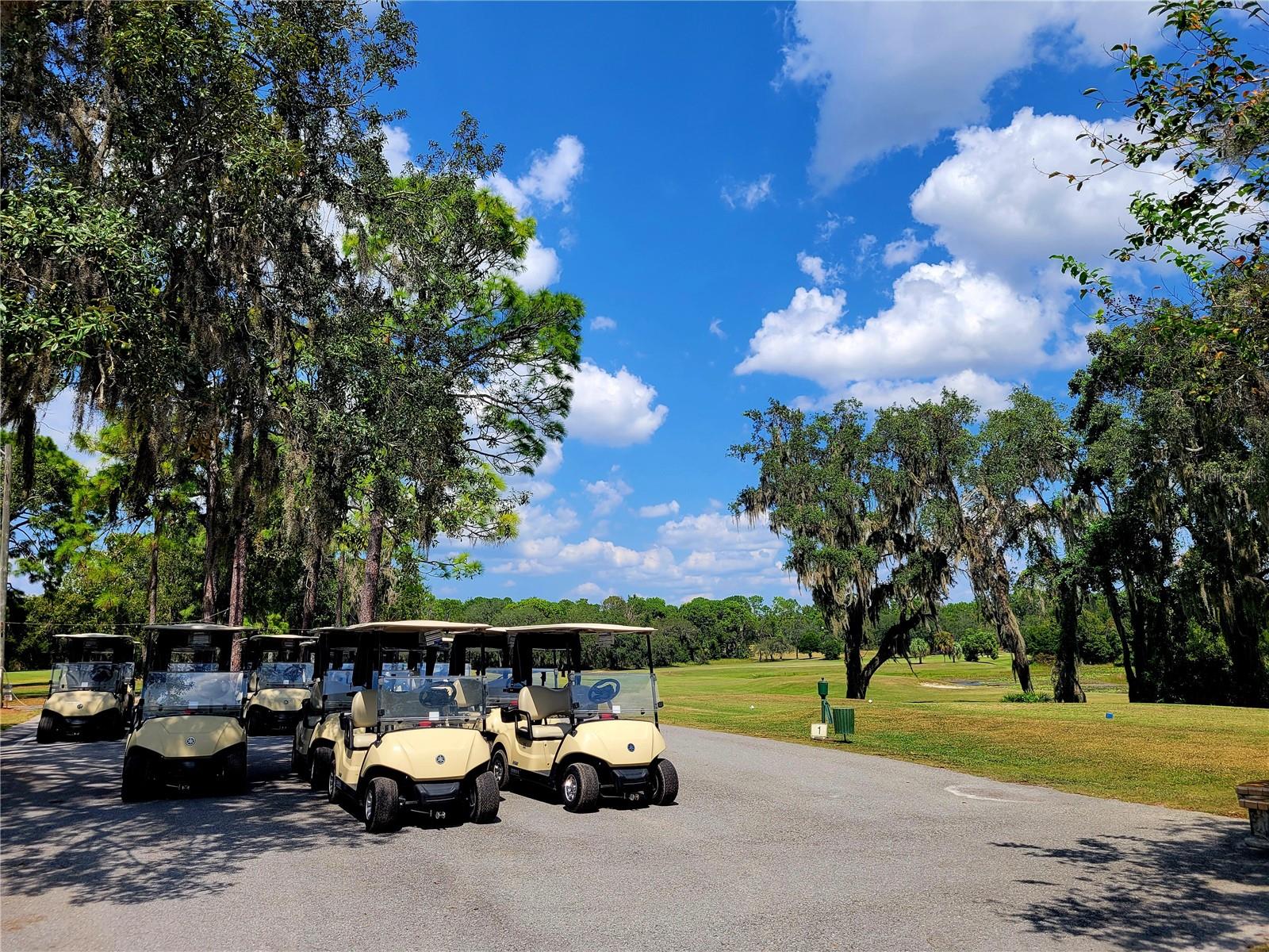 Cart area