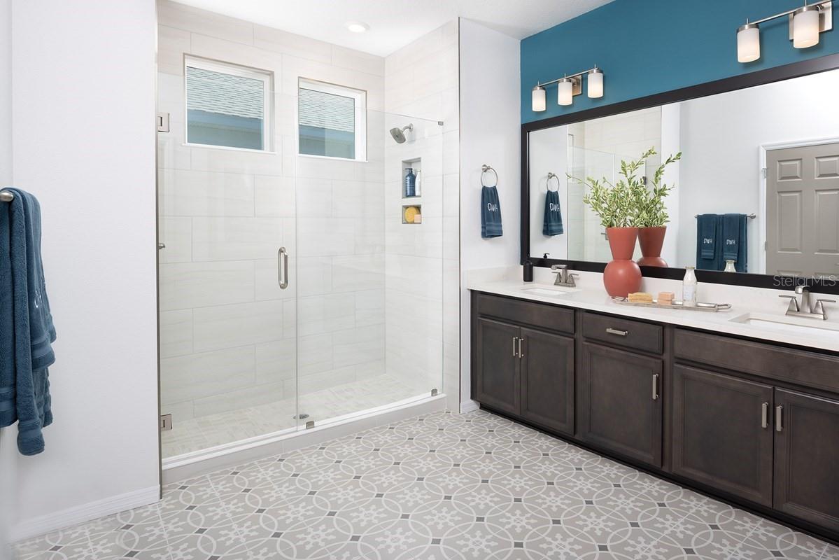 Owner's Bath