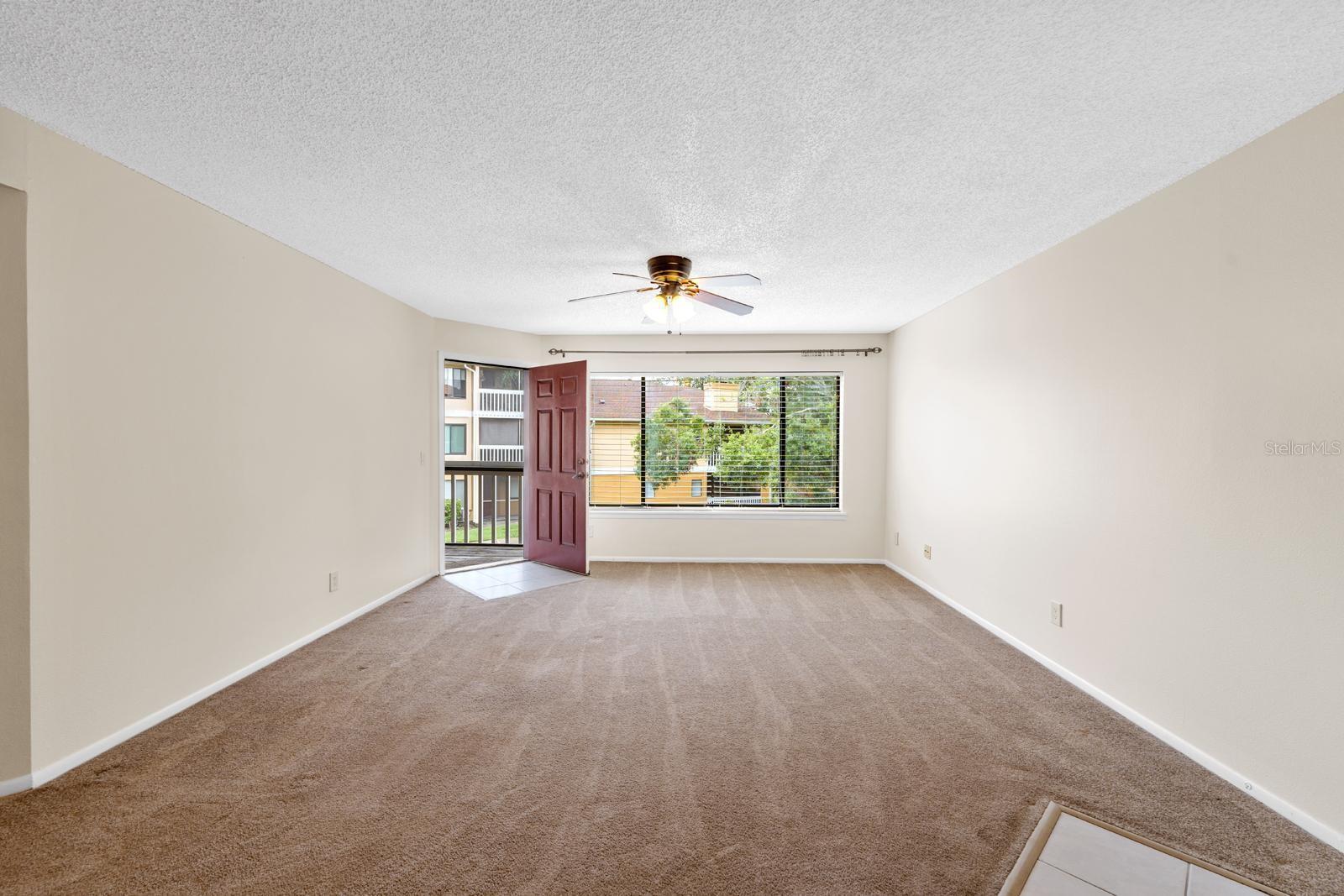 Living Room / Balcony Door.