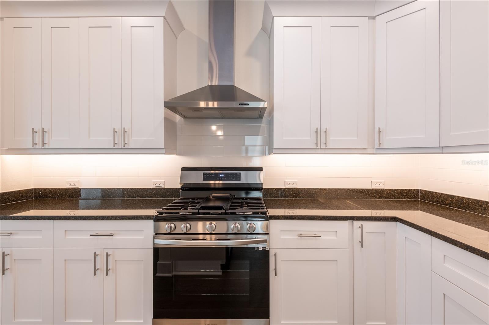 Gas Range with Hood