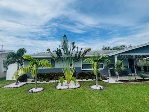 Front with landscaping - What a Bird of Paradise! Beautiful Bird of Paradise!