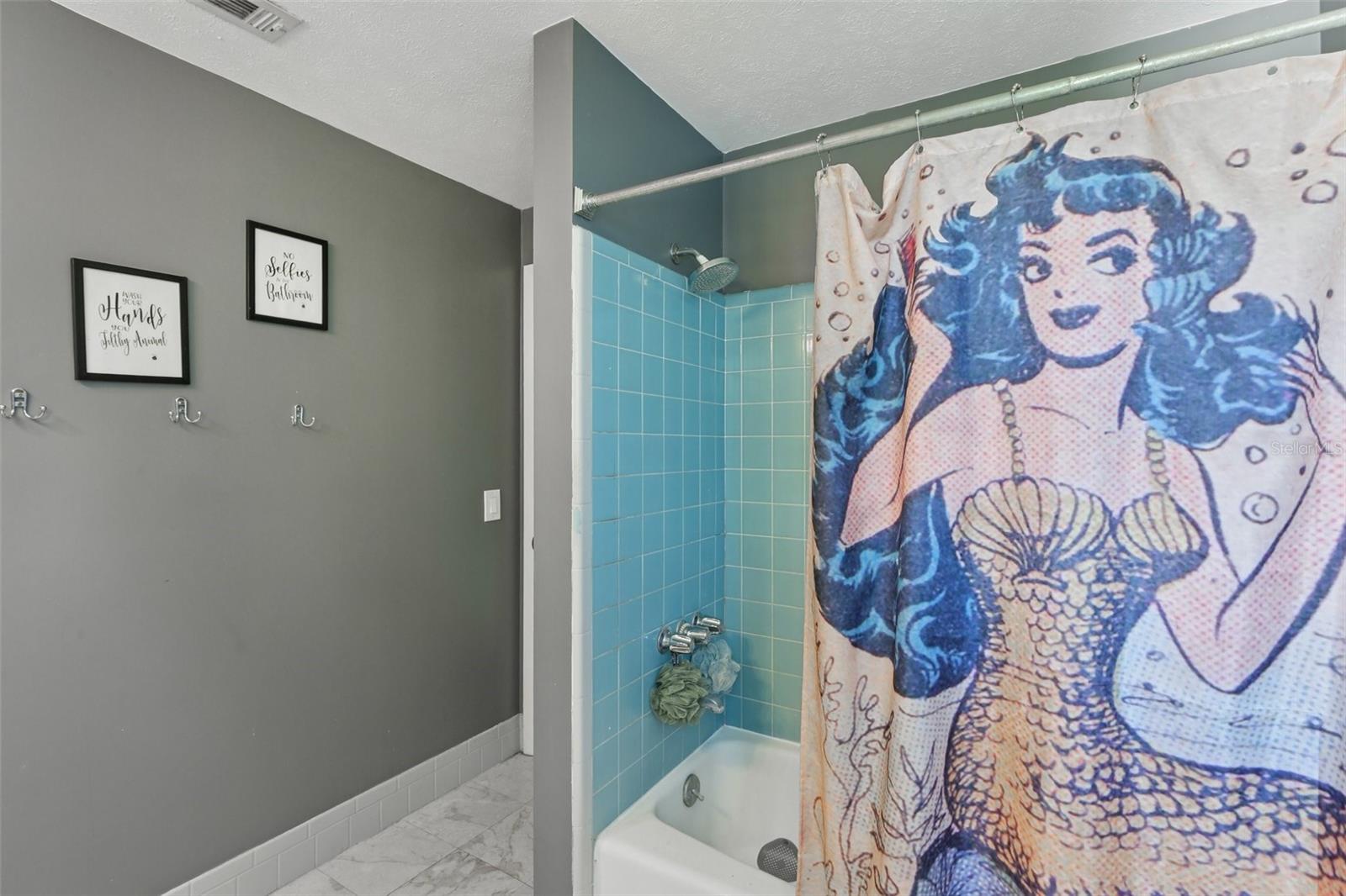 Hall bathroom