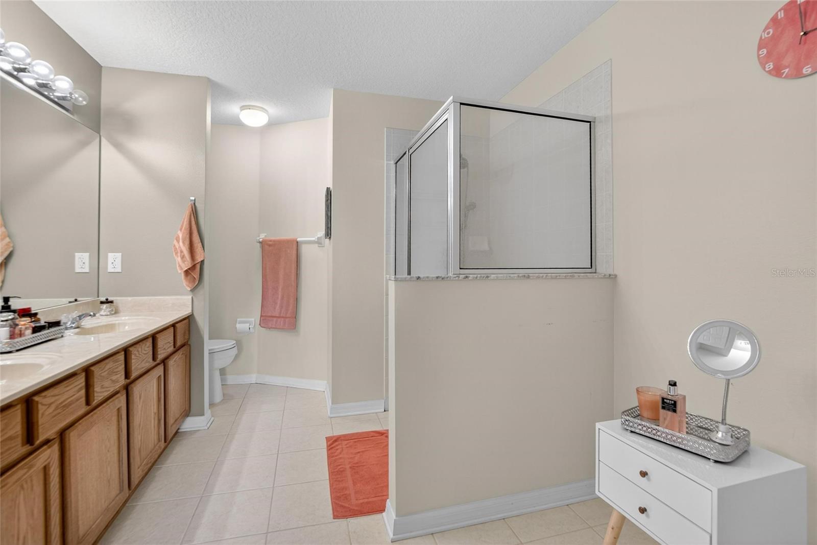 Master Bathroom View 1
