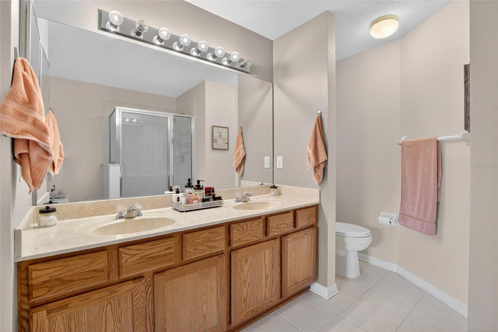 Master Bathroom View 2