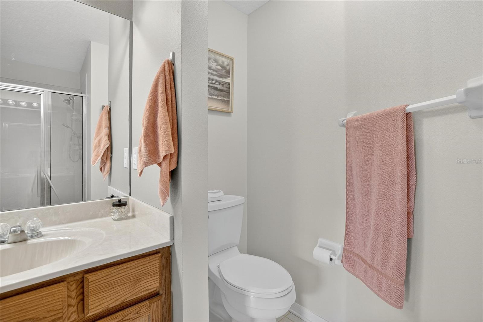 Master Bathroom View 3