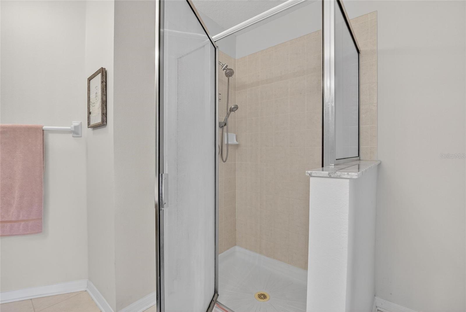 Master Bathroom View 4