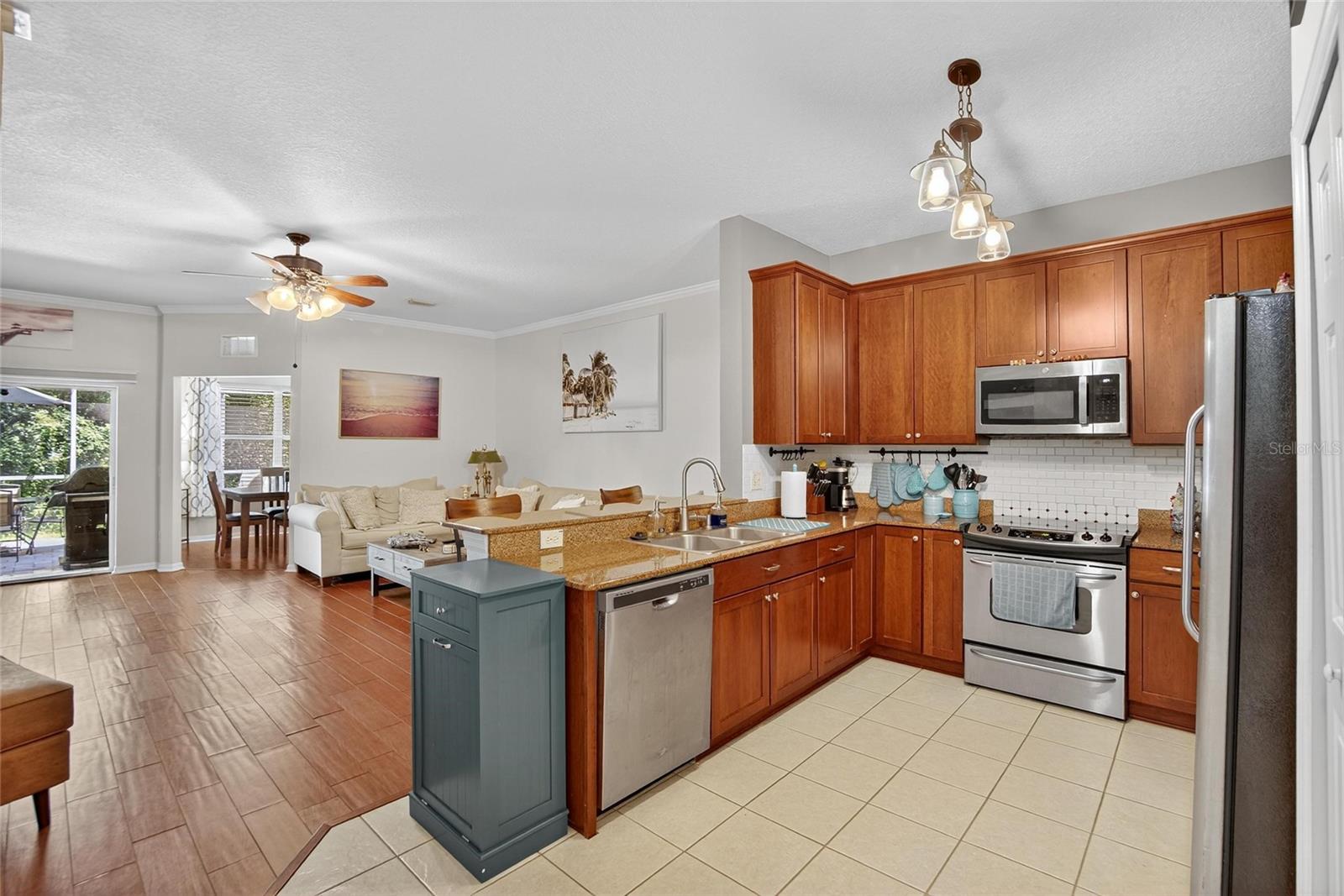 Kitchen View 1