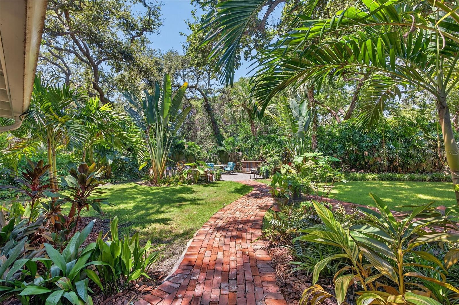 Your own Tropical Oasis in the Backyard