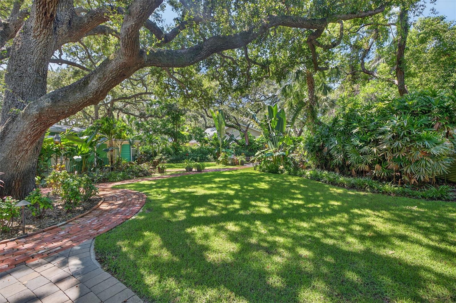 Extremely spacious backyard