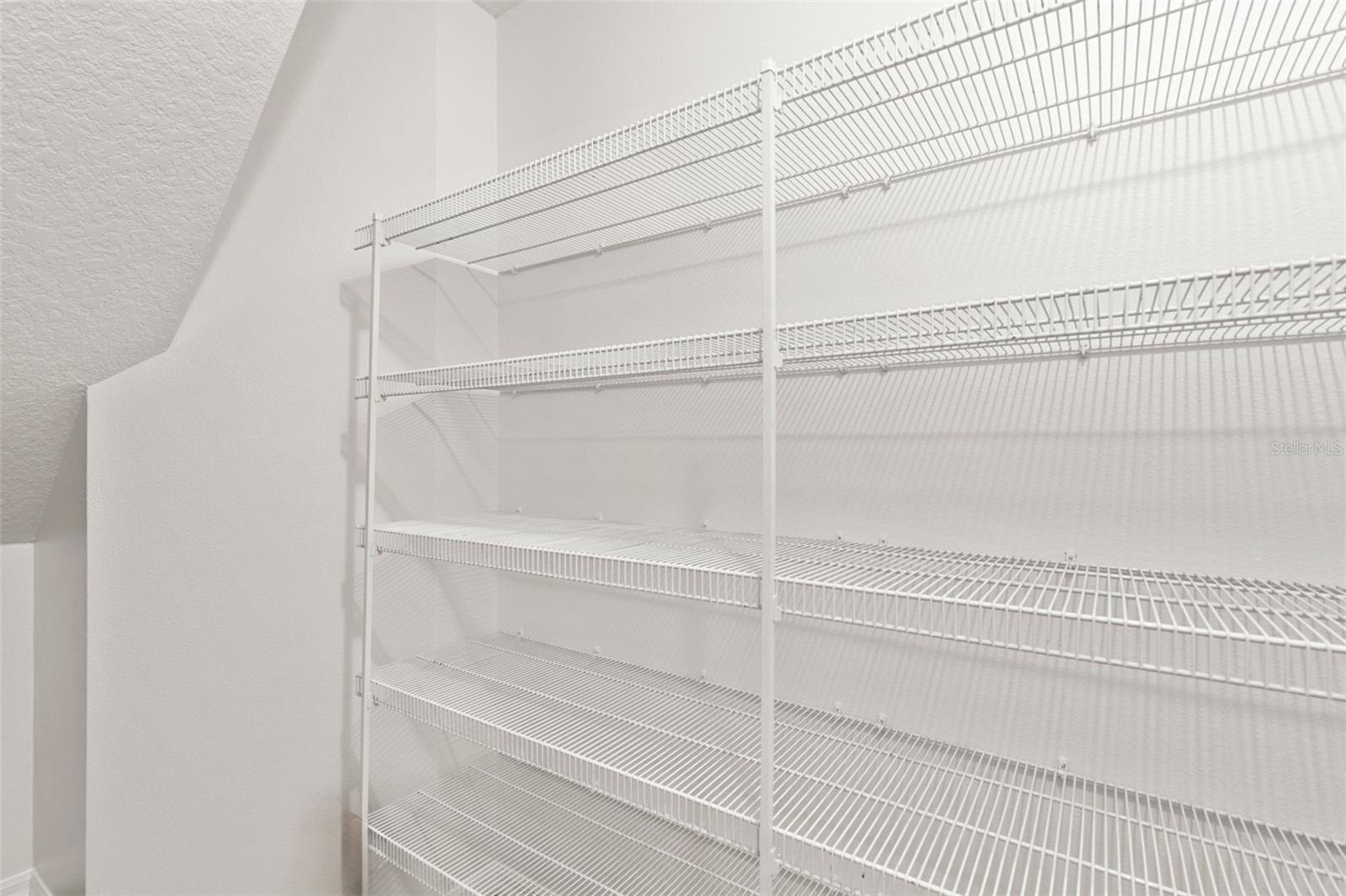 Kitchen Pantry Closet