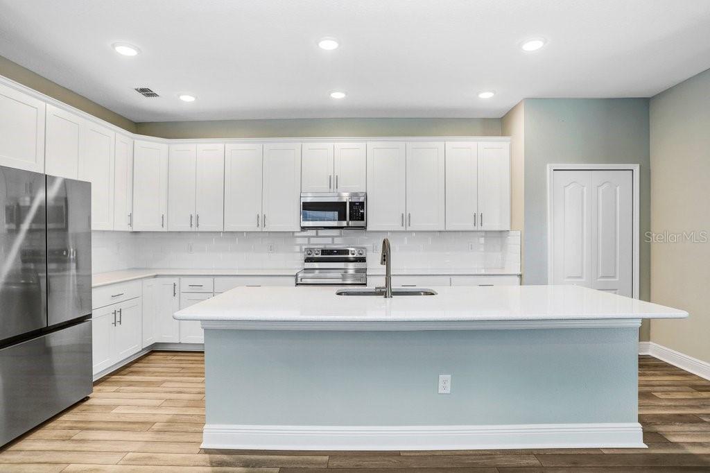 Luxurious Kitchen