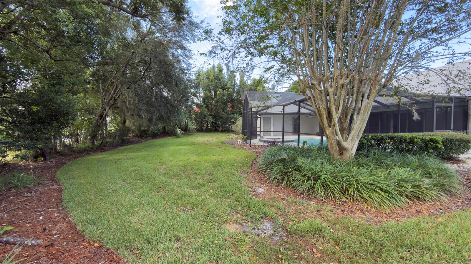 back yard