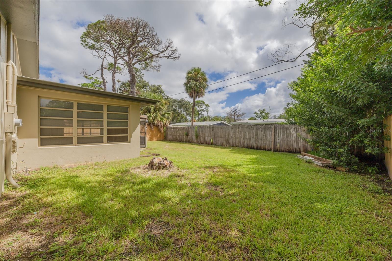 Backyard